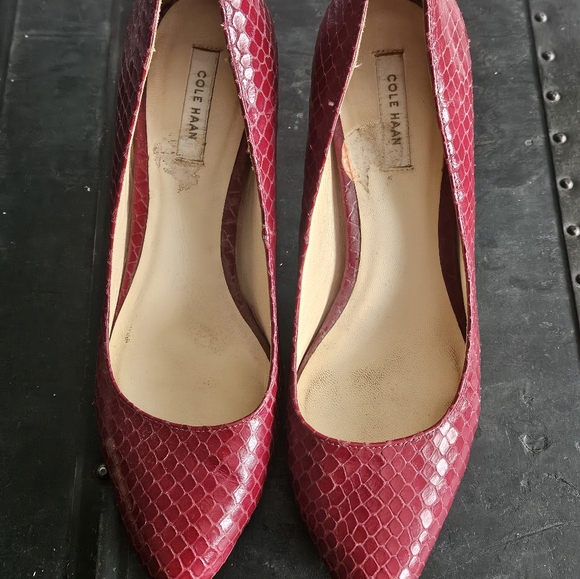 Cole Haan Lizard Print Heels - Picture 7 of 7